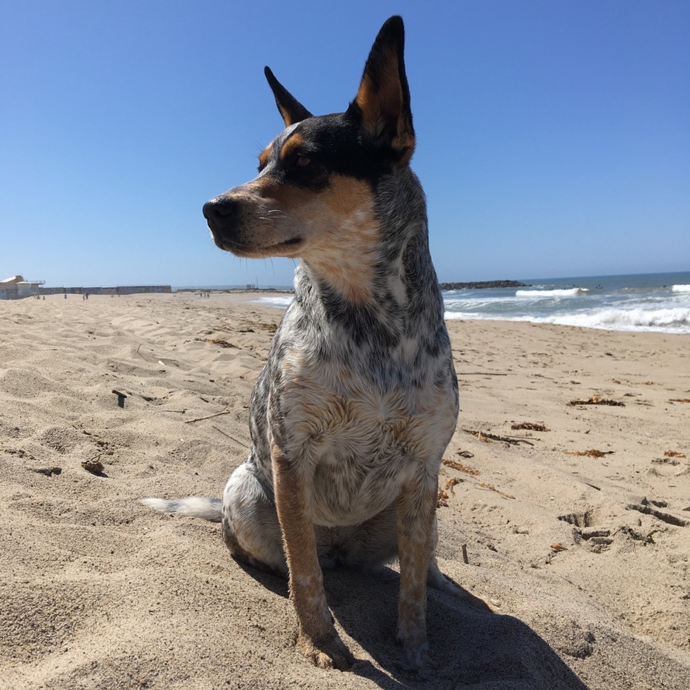 Meet your Posher, Stacie